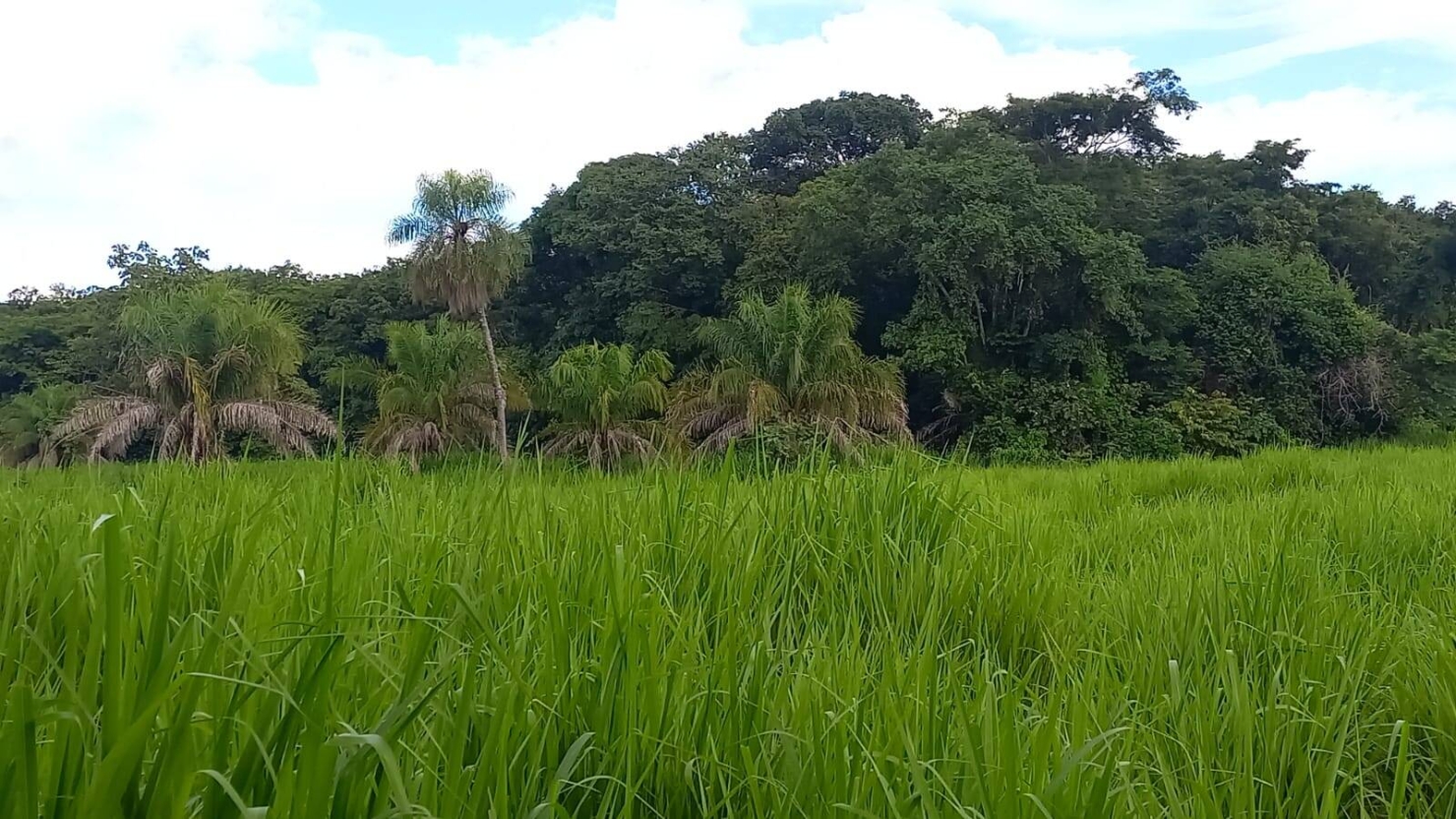 Terreno, 290 m² - Foto 6