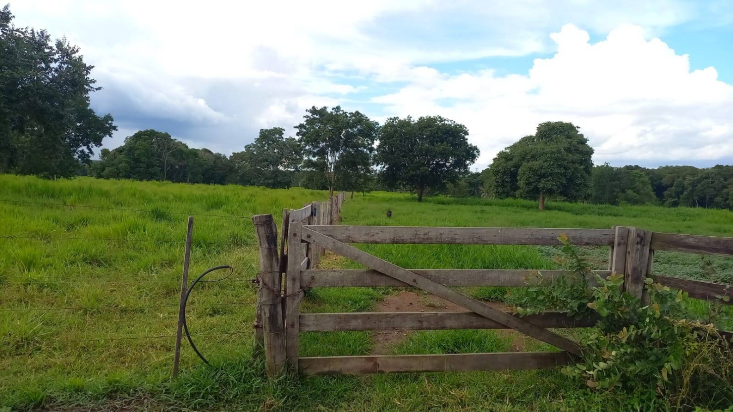 Terreno, 290 m² - Foto 7