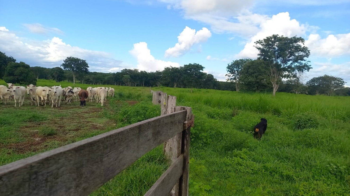 Terreno, 290 m² - Foto 9