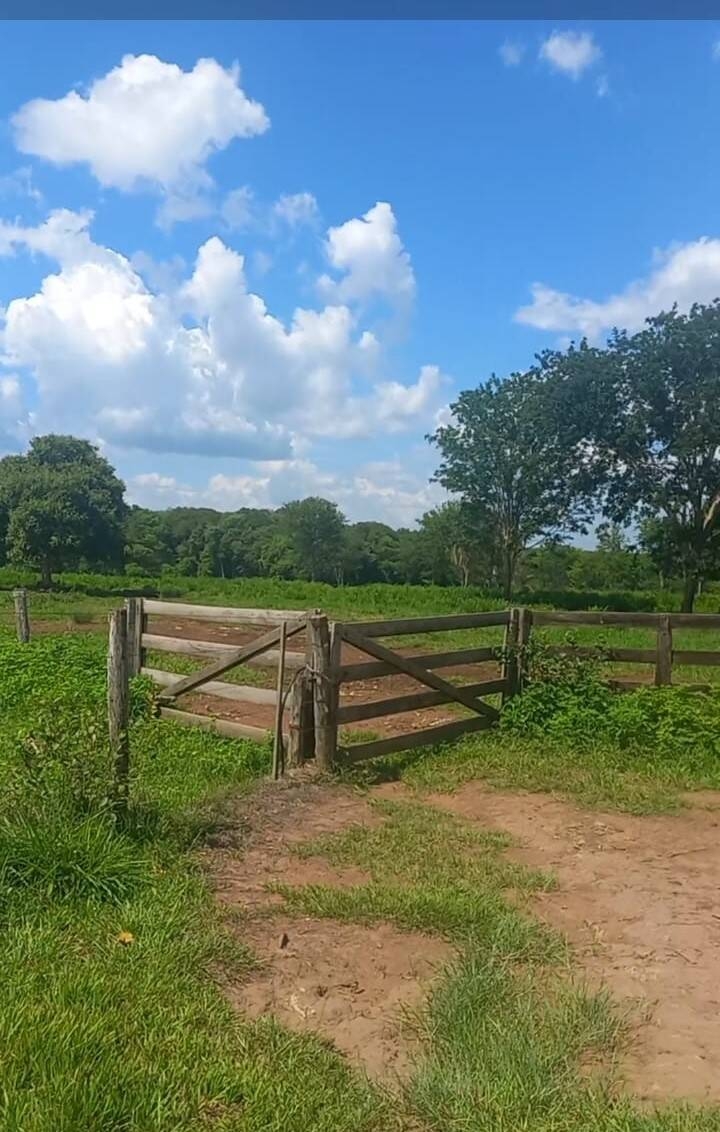 Terreno, 290 m² - Foto 13