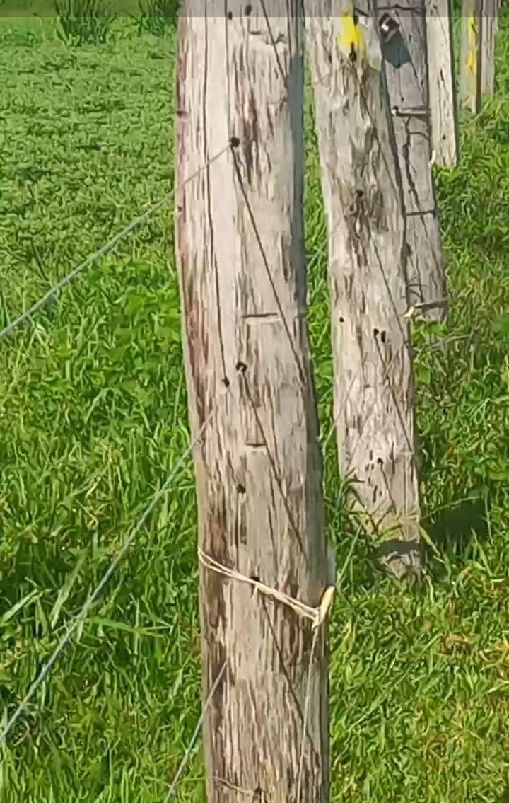 Terreno, 290 m² - Foto 14