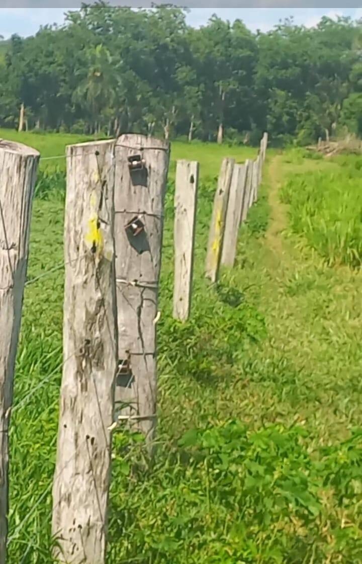 Terreno, 290 m² - Foto 15