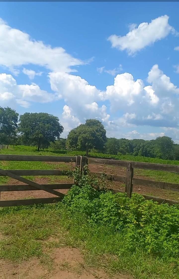 Terreno, 290 m² - Foto 17