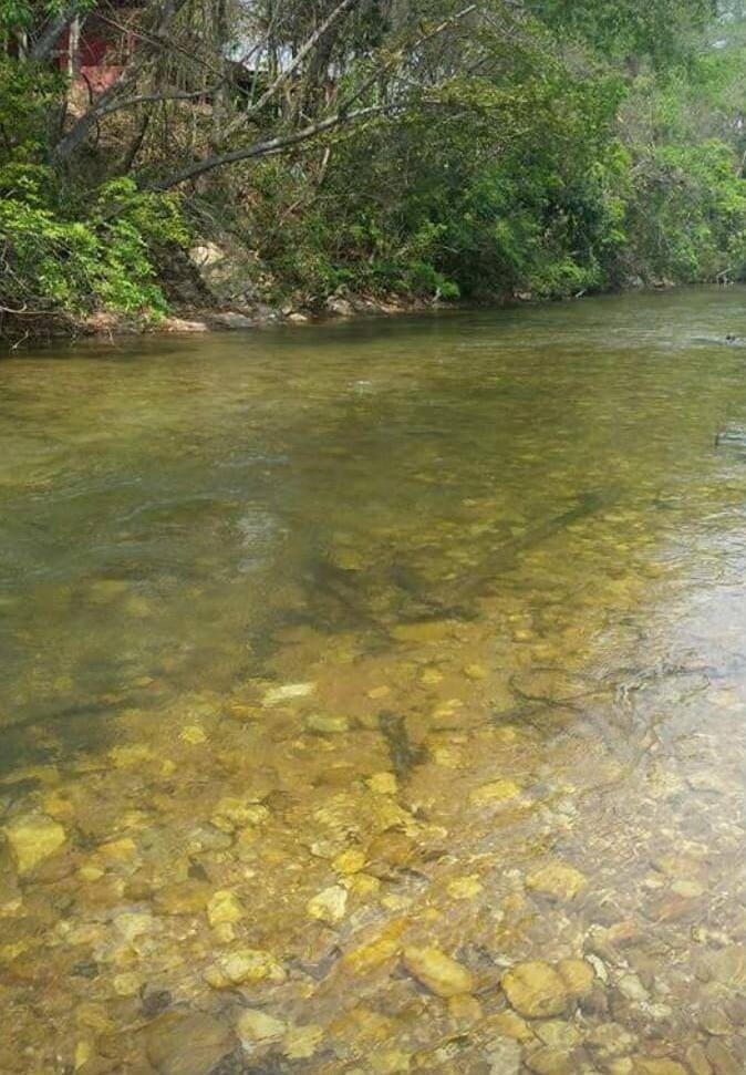 Chácara, 3 quartos, 5060 m² - Foto 1