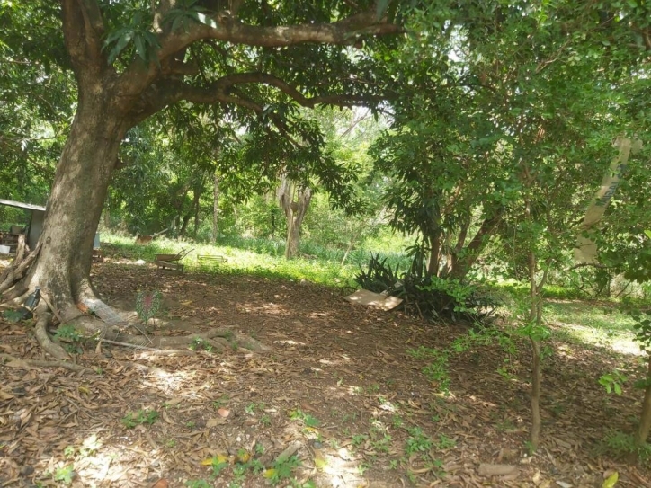 Terreno, 5250 m² - Foto 3