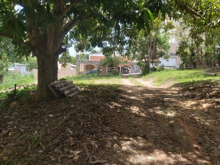 Terreno, 5250 m² - Foto 4