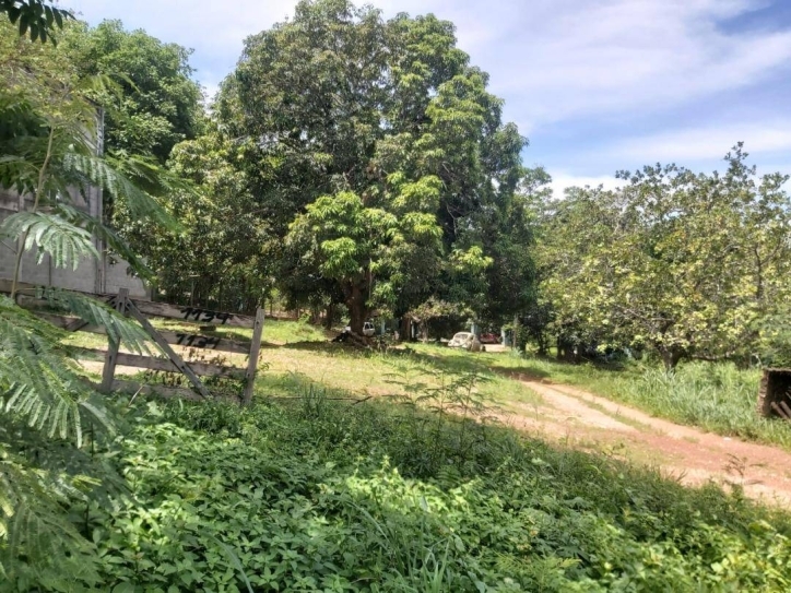 Terreno, 5250 m² - Foto 6