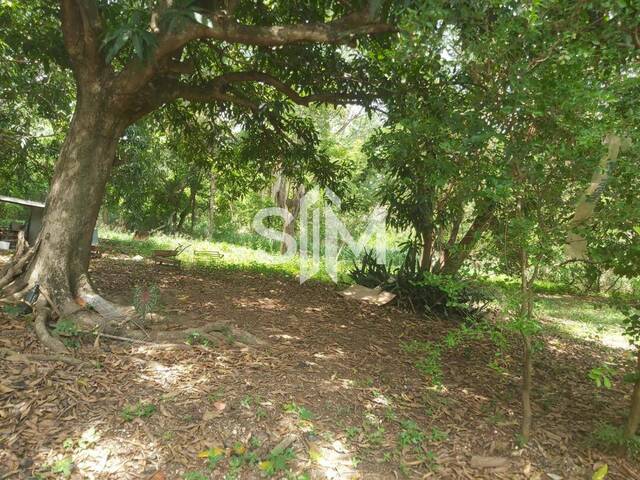 #449 - Área para Venda em Cuiabá - MT - 3