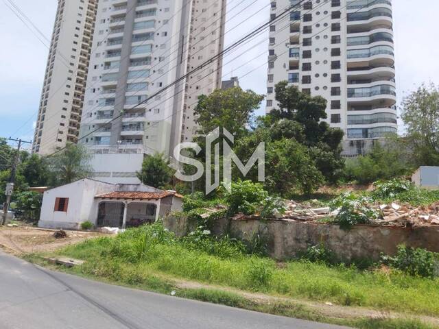 #450 - Área para Venda em Cuiabá - MT - 1